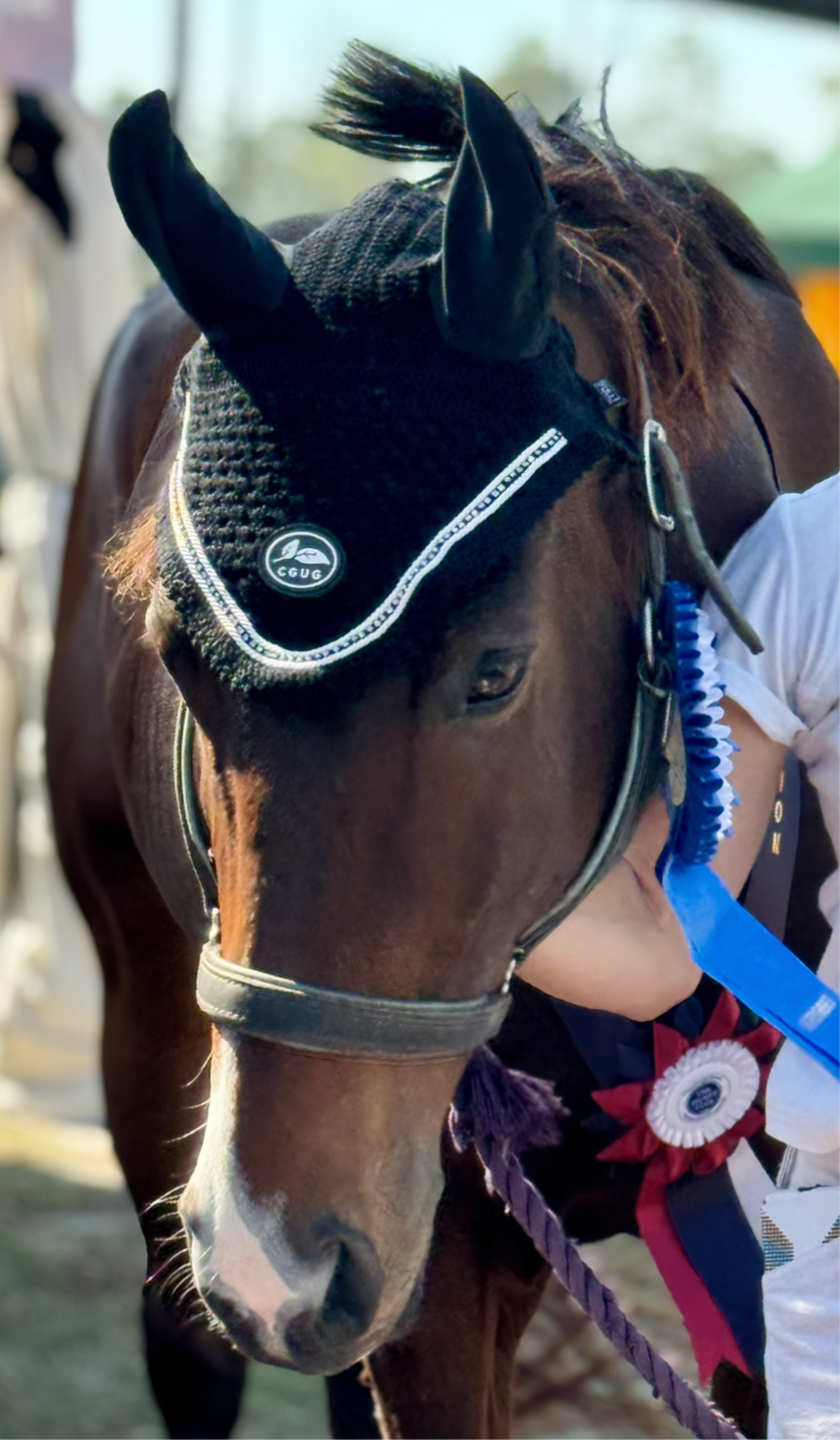 Black Horse Bonnet