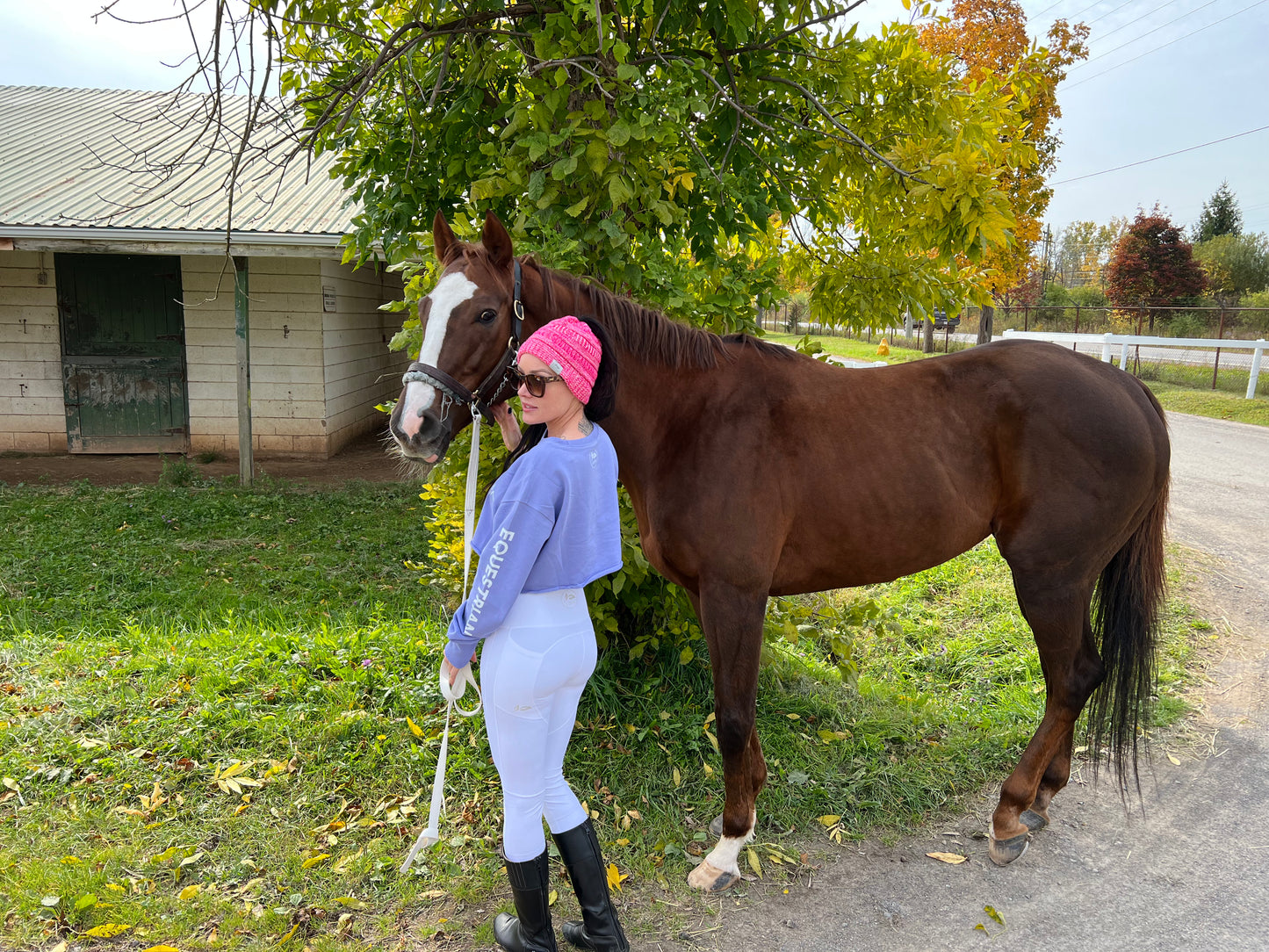 Lavender Equestrian Hoofbeat Cropped Crew