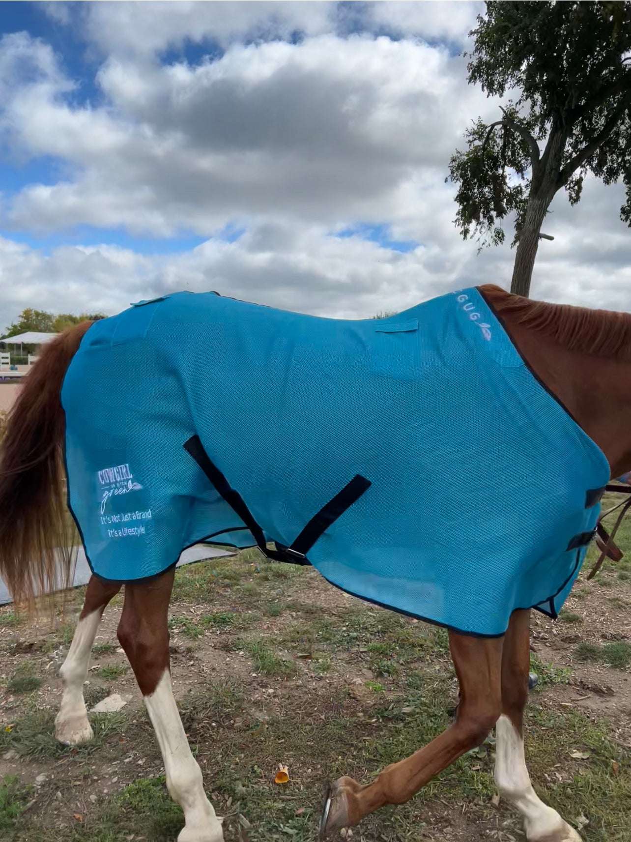 My Horsey’s Got Pockets