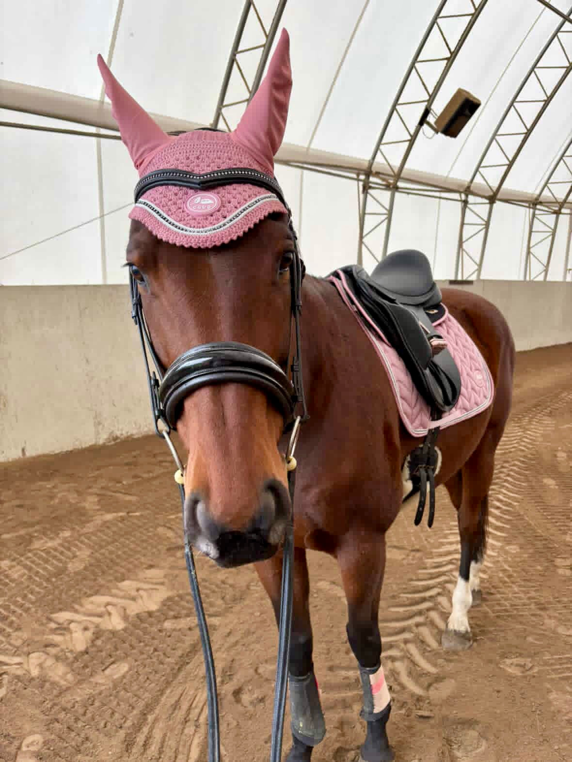 Rose Quartz Velour Saddle Pad