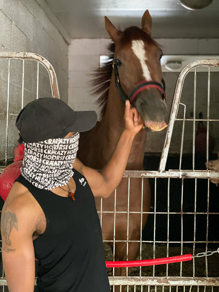 Masks & Neck Gaiters