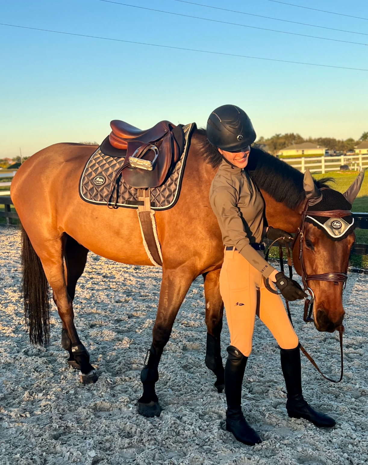 Olive Oil All Purpose Saddle Pad