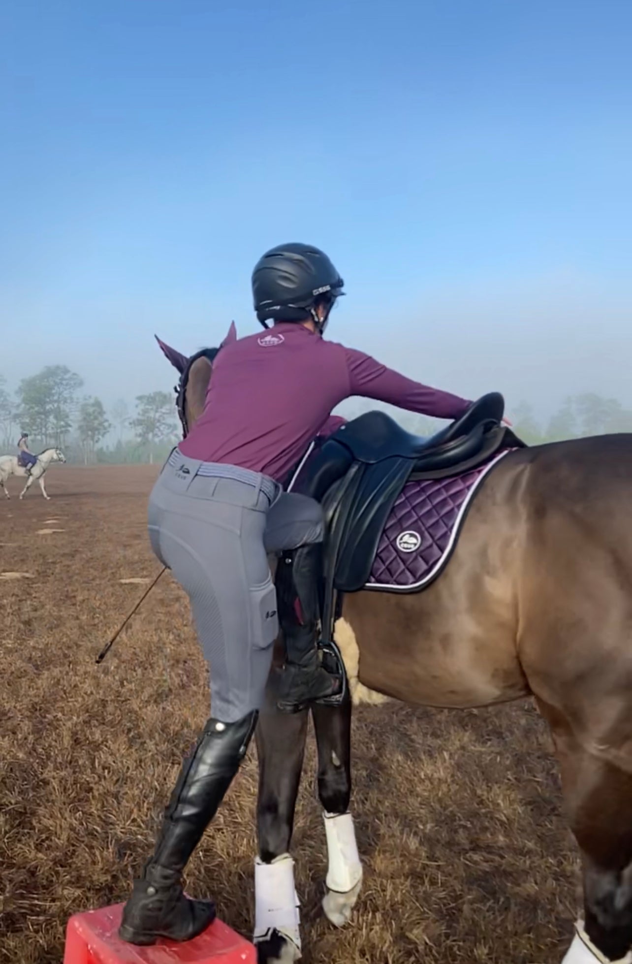 Salty Grey Mare Riding Tights/Breeches