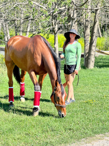 Mojito Seamless Long Sleeve Dry Fit
